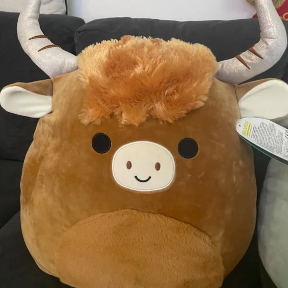 10 items - large squishmallows bundle, cow bird frogs & food and more - Picture 2 of 14